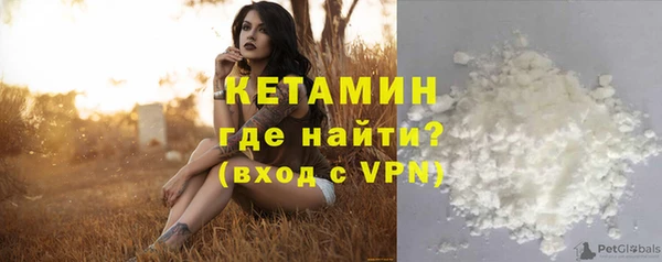 шишки Магас