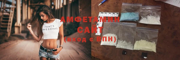 шишки Магас