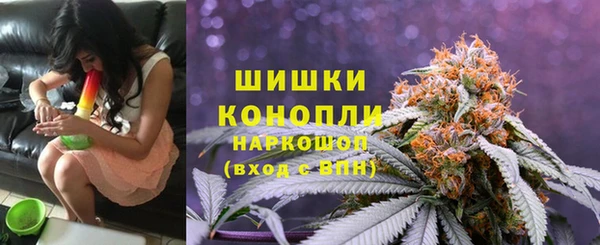 сатива Майский